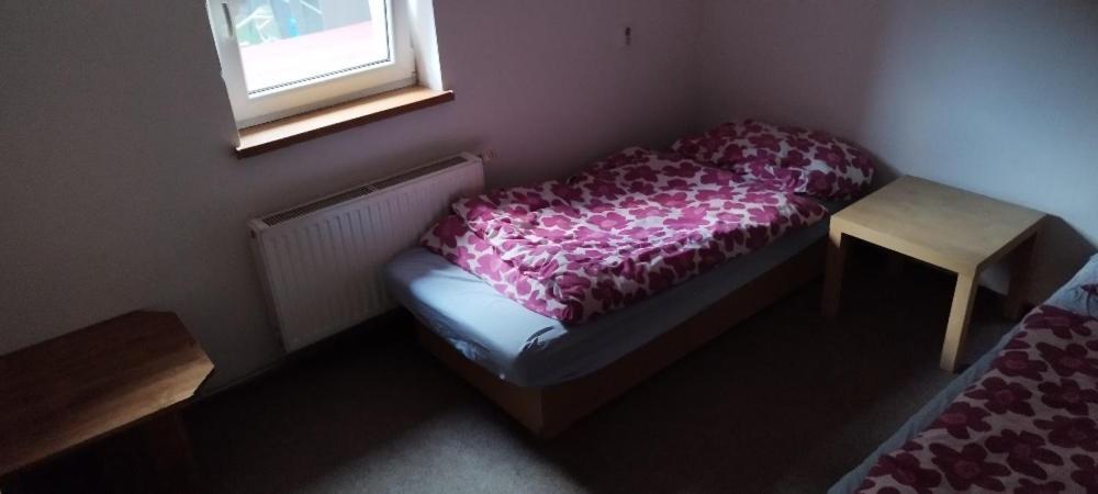 U Anny Apartment Háj ve Slezsku Екстериор снимка